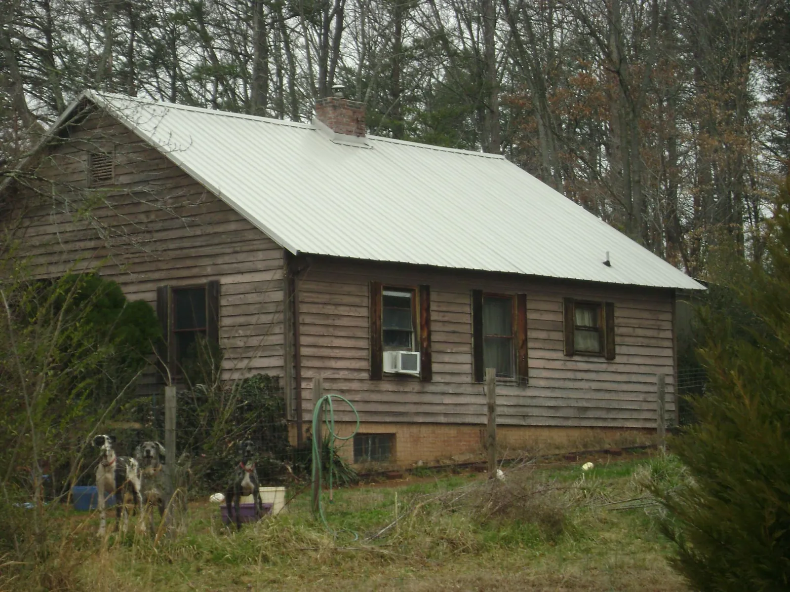 White metal roof on an old wood sided farmhouse, from a Metal Roof Installation job in Duxbury